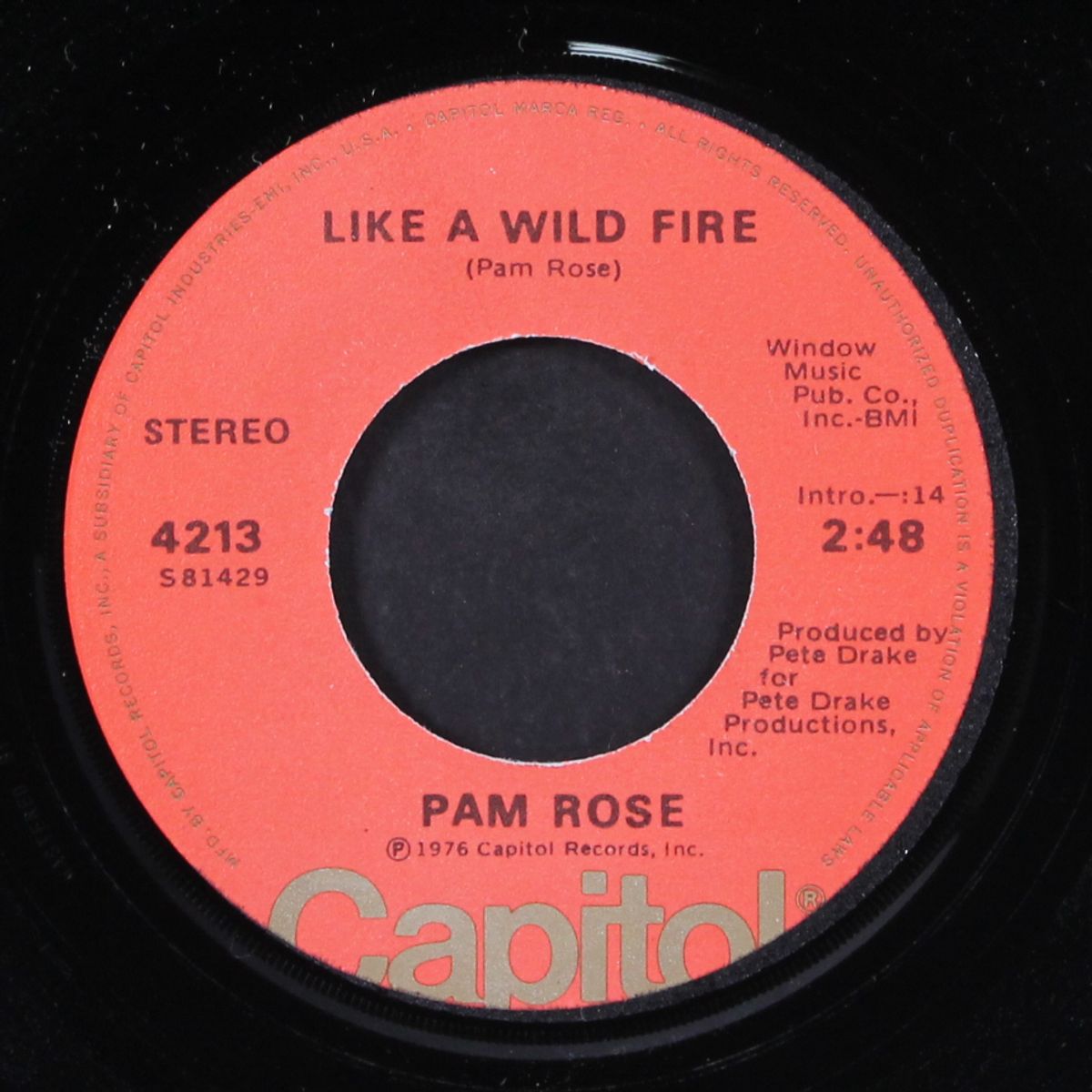 either way / like a wild fire by PAM ROSE