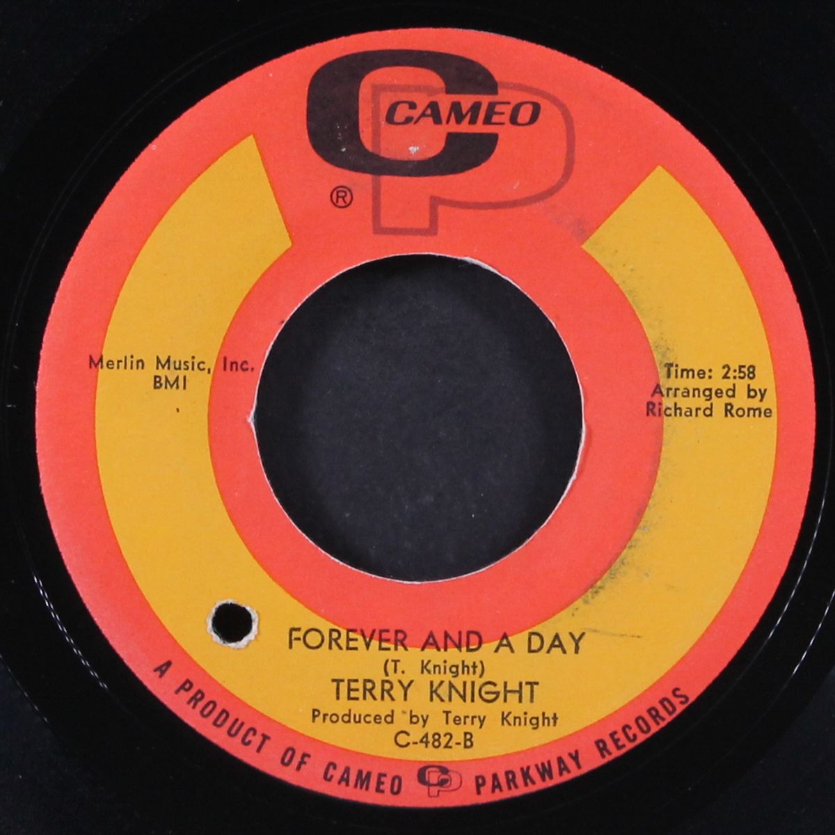 lizbeth peach / forever & a day by TERRY KNIGHT