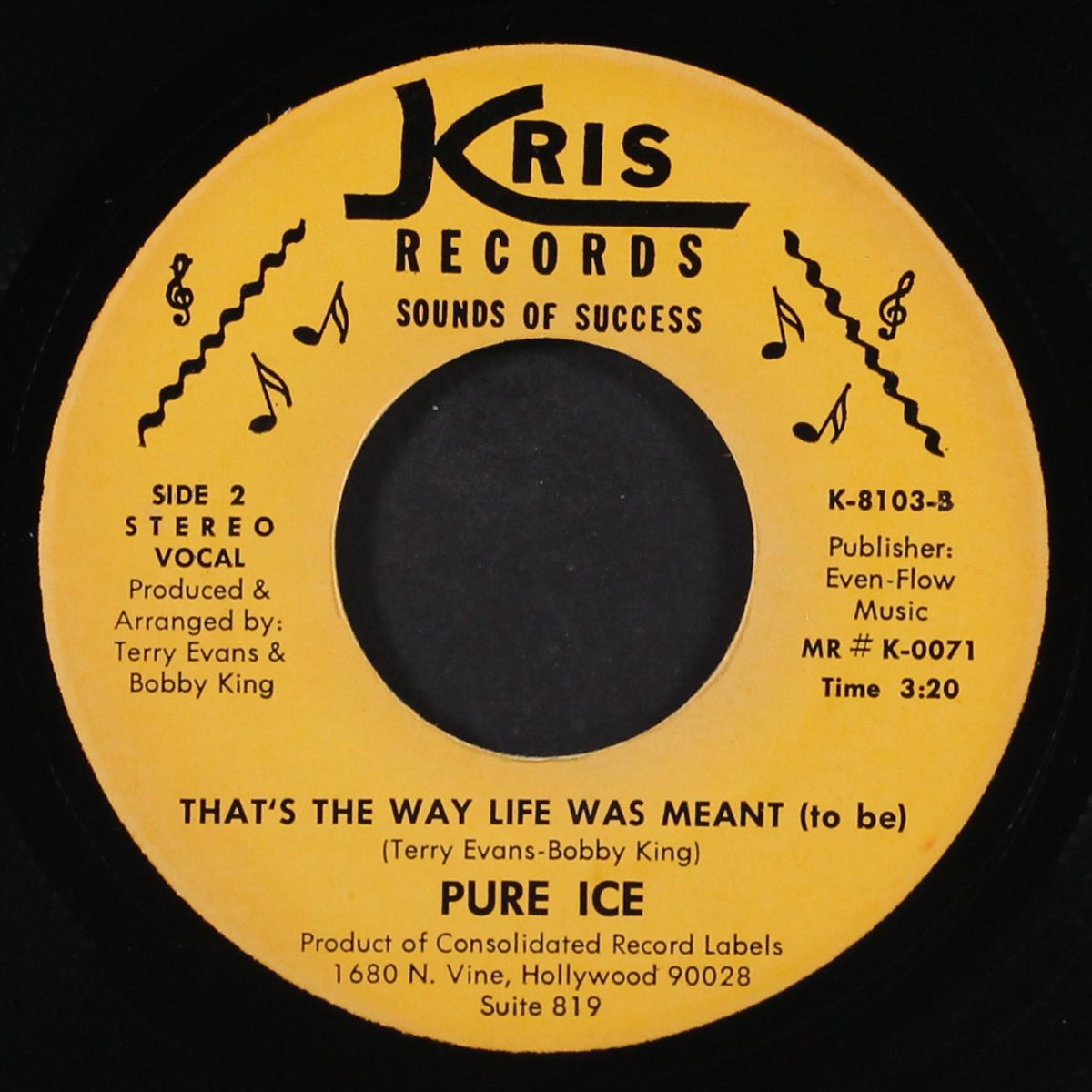 live & let live / that's the way life was meant by PURE ICE