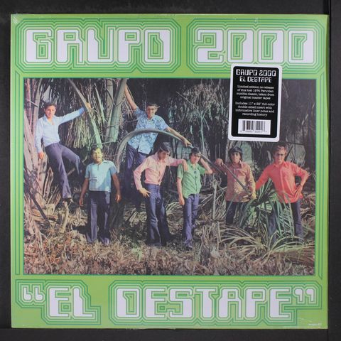 GRUPO 2000