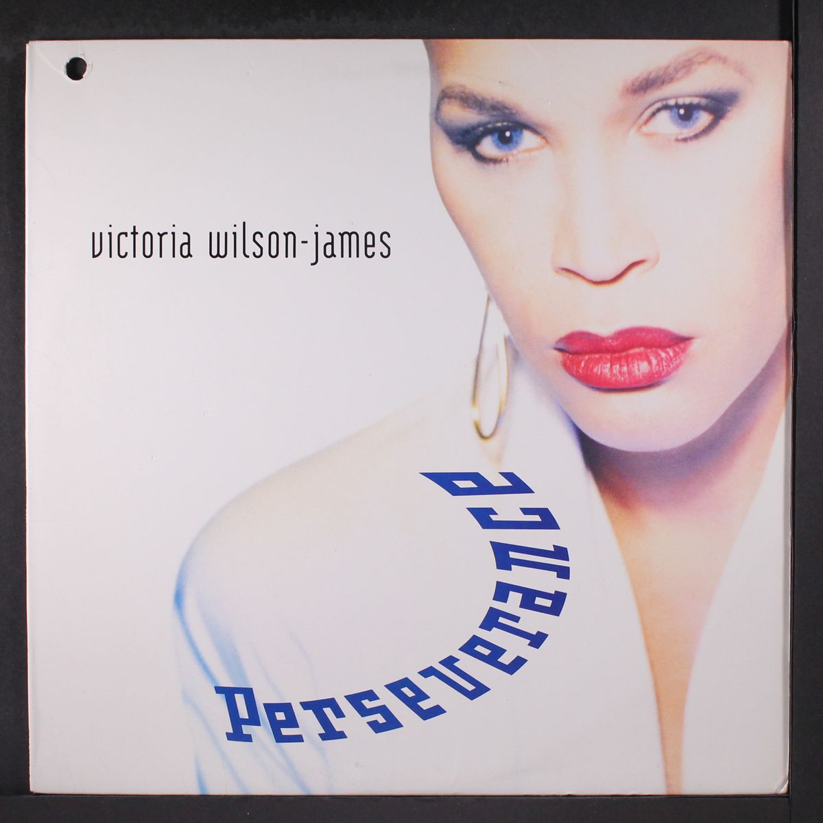 perseverance by VICTORIA WILSON-JAMES