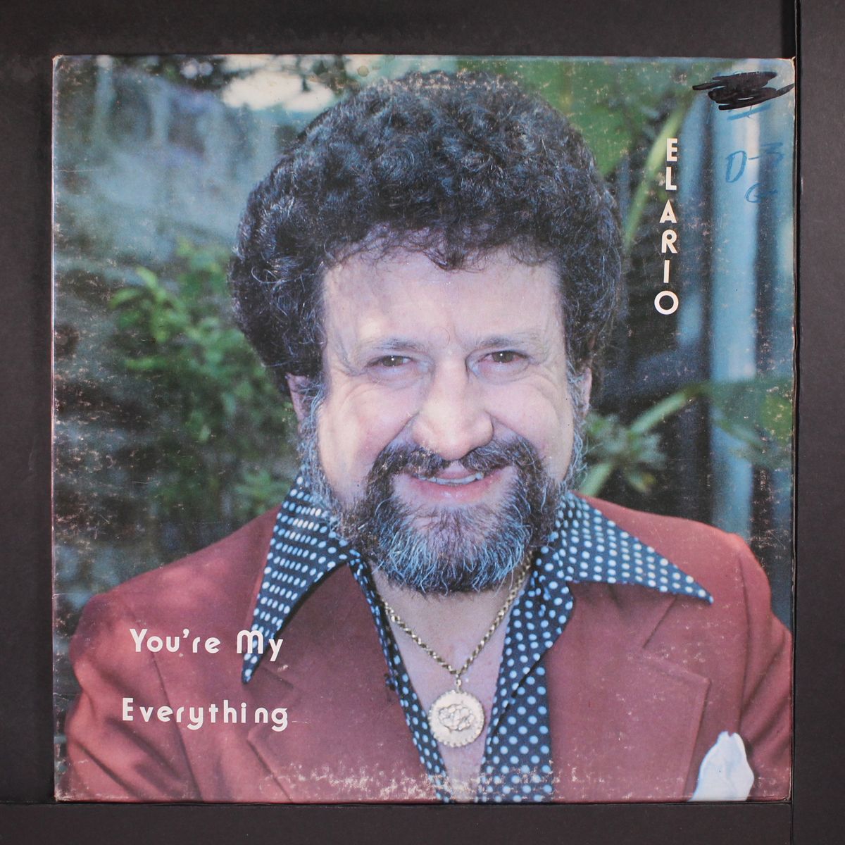 you're my everything by ELARIO