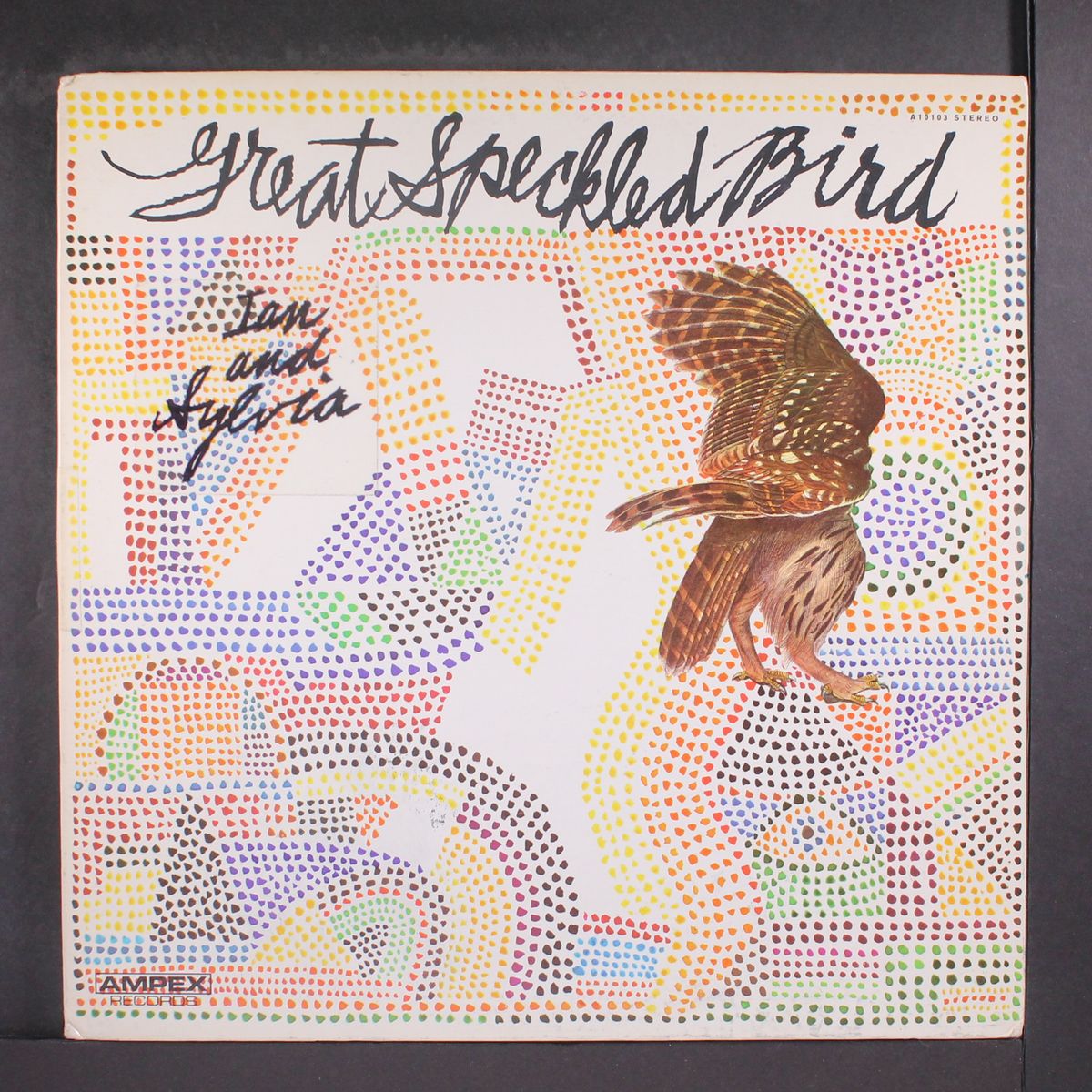 great speckled bird by GREAT SPECKLED BIRD