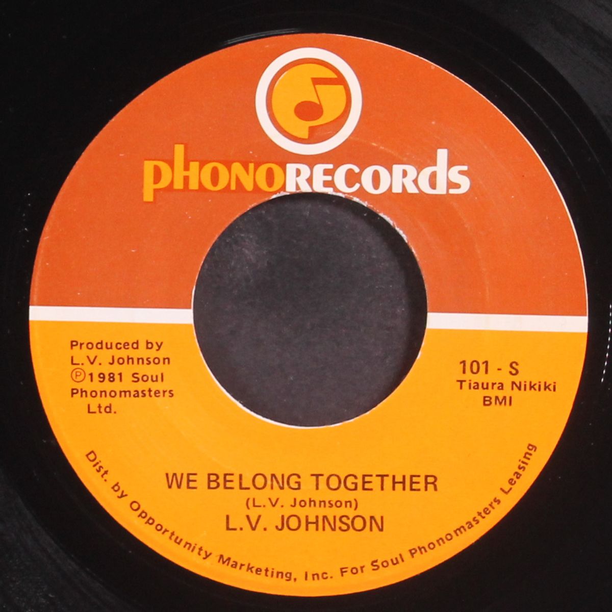 we belong together by L.V. JOHNSON
