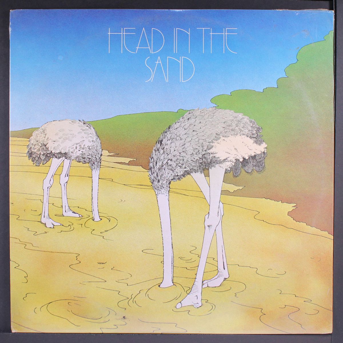 head in the sand by SAND