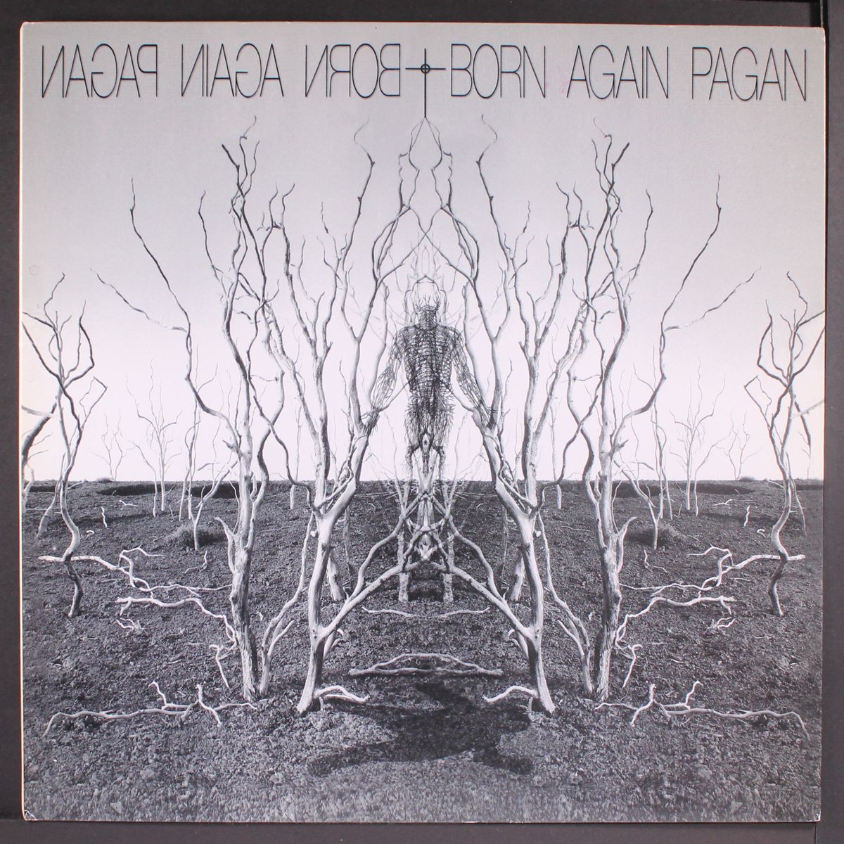 born again by PAGAN