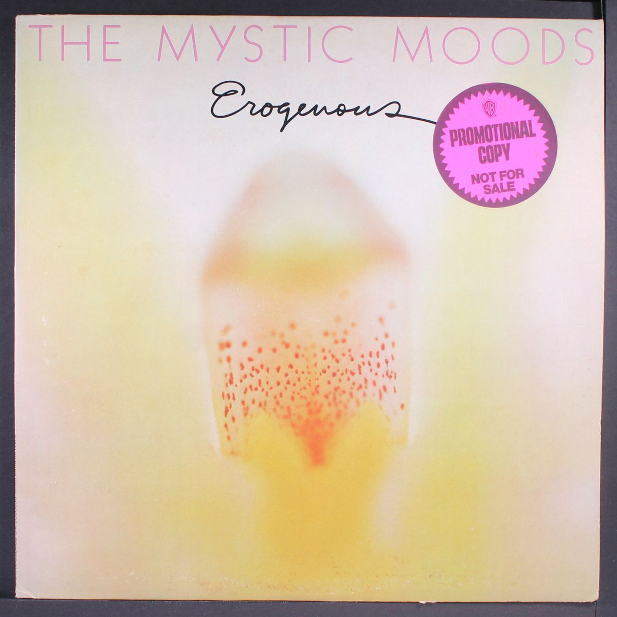 erogenous by MYSTIC MOODS