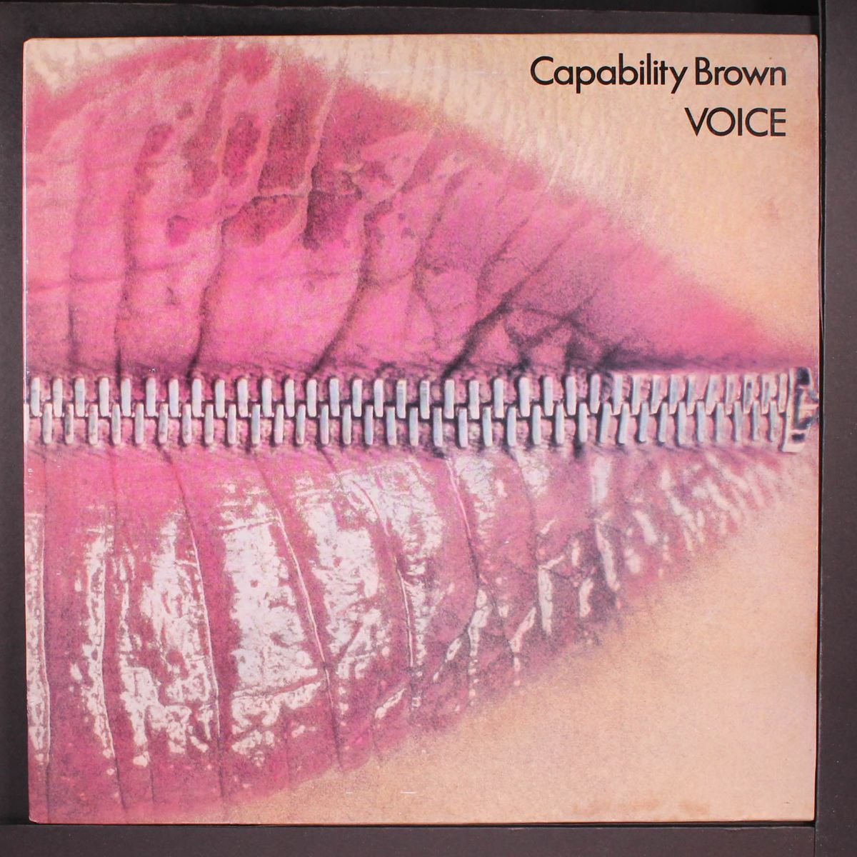 voice by CAPABILITY BROWN