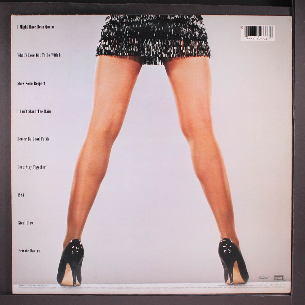private dancer by TINA TURNER