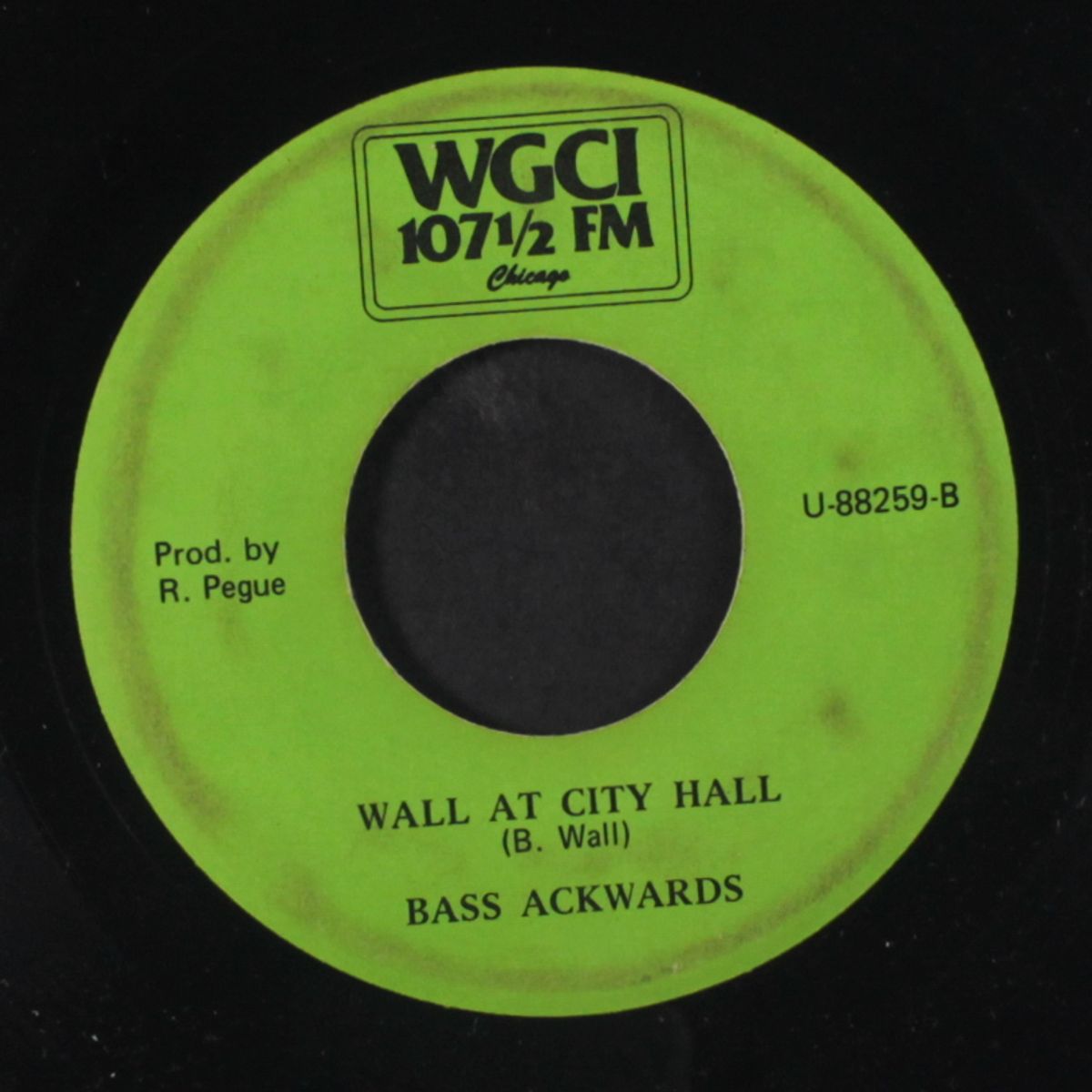 cosmic pig rap / wall at city hall by BOB & WALL-NOTES