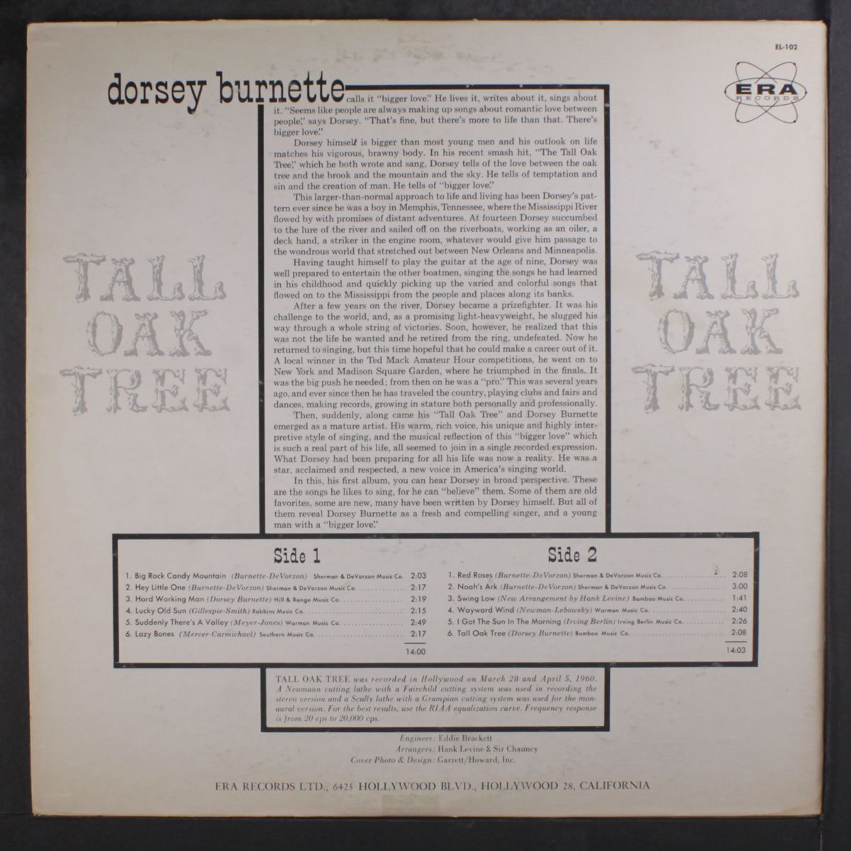 tall oak tree by DORSEY BURNETTE