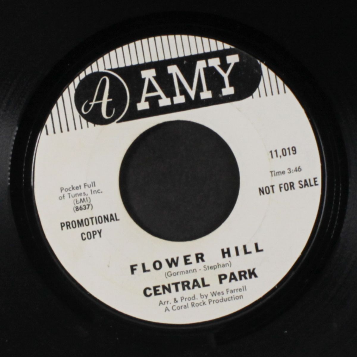 who wouldn't love to be loved / flower hill by CENTRAL PARK