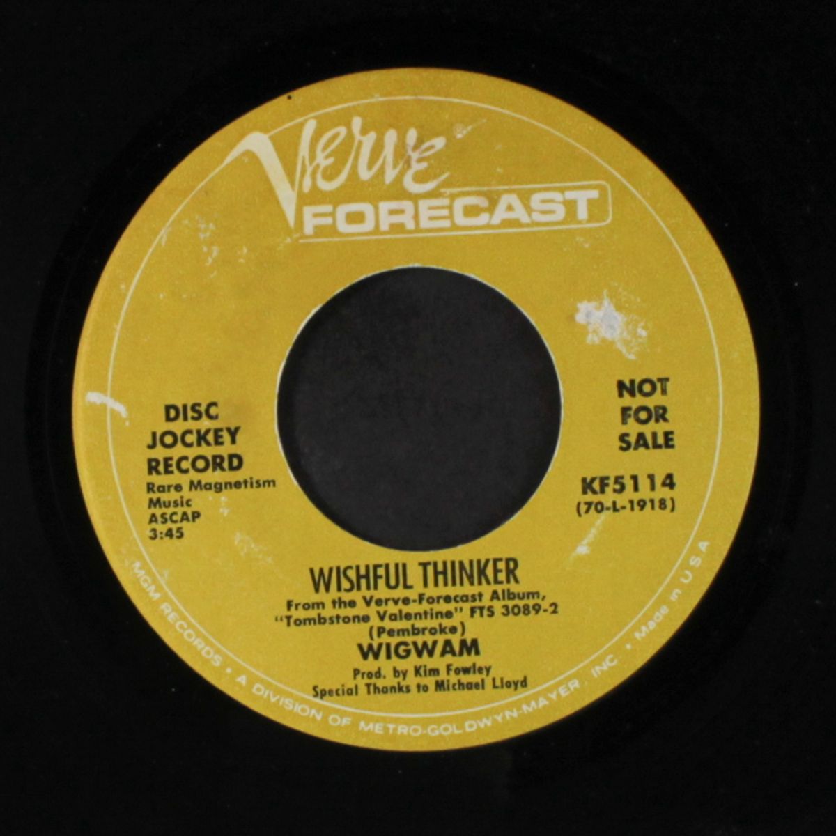 wishful thinker / call me on your telephone by WIGWAM