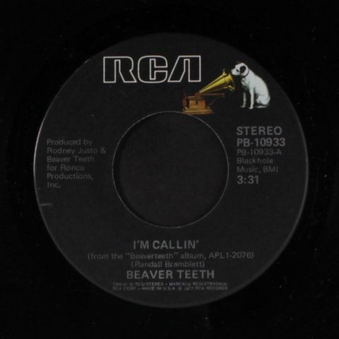 BEAVER TEETH