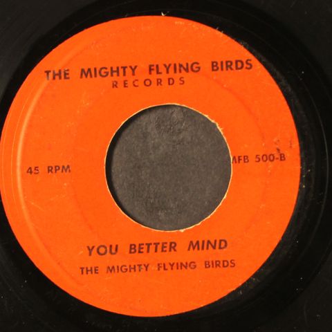 MIGHTY FLYING BIRDS