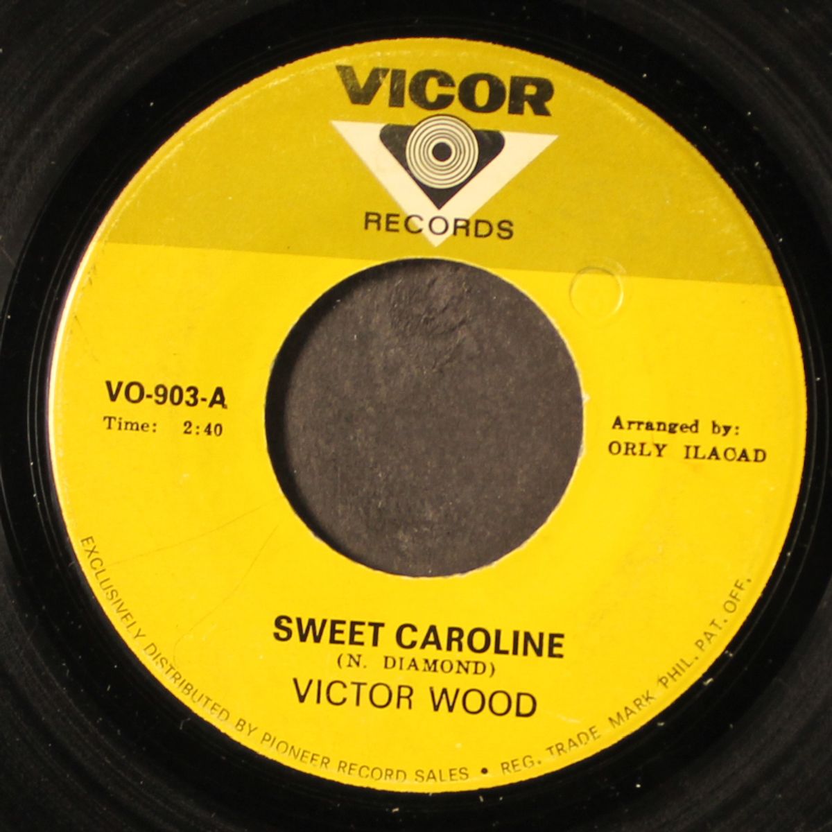 don't fight it / sweet caroline by VICTOR WOOD