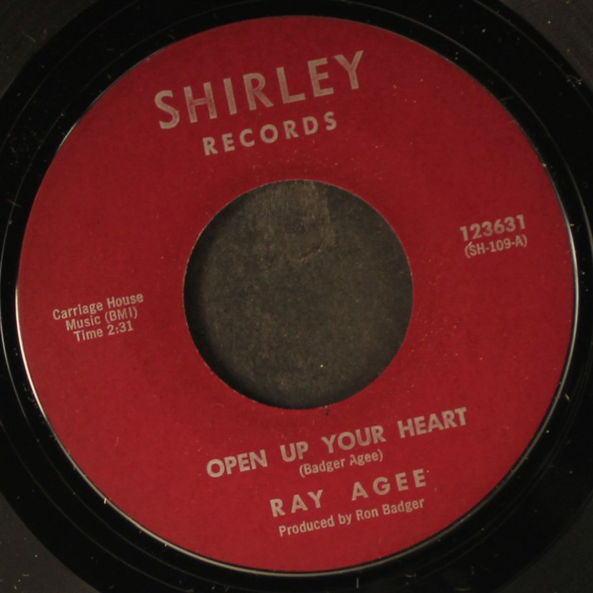 open up your heart / the gamble by RAY AGEE