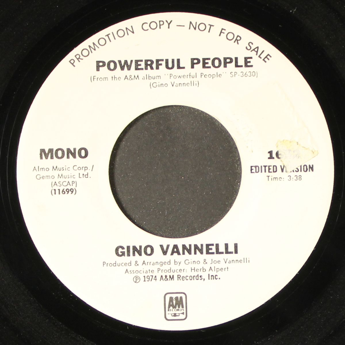 powerful people / mono by GINO VANNELLI