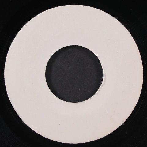 SONNY BOY WILLIAMSON / TAMPA RED