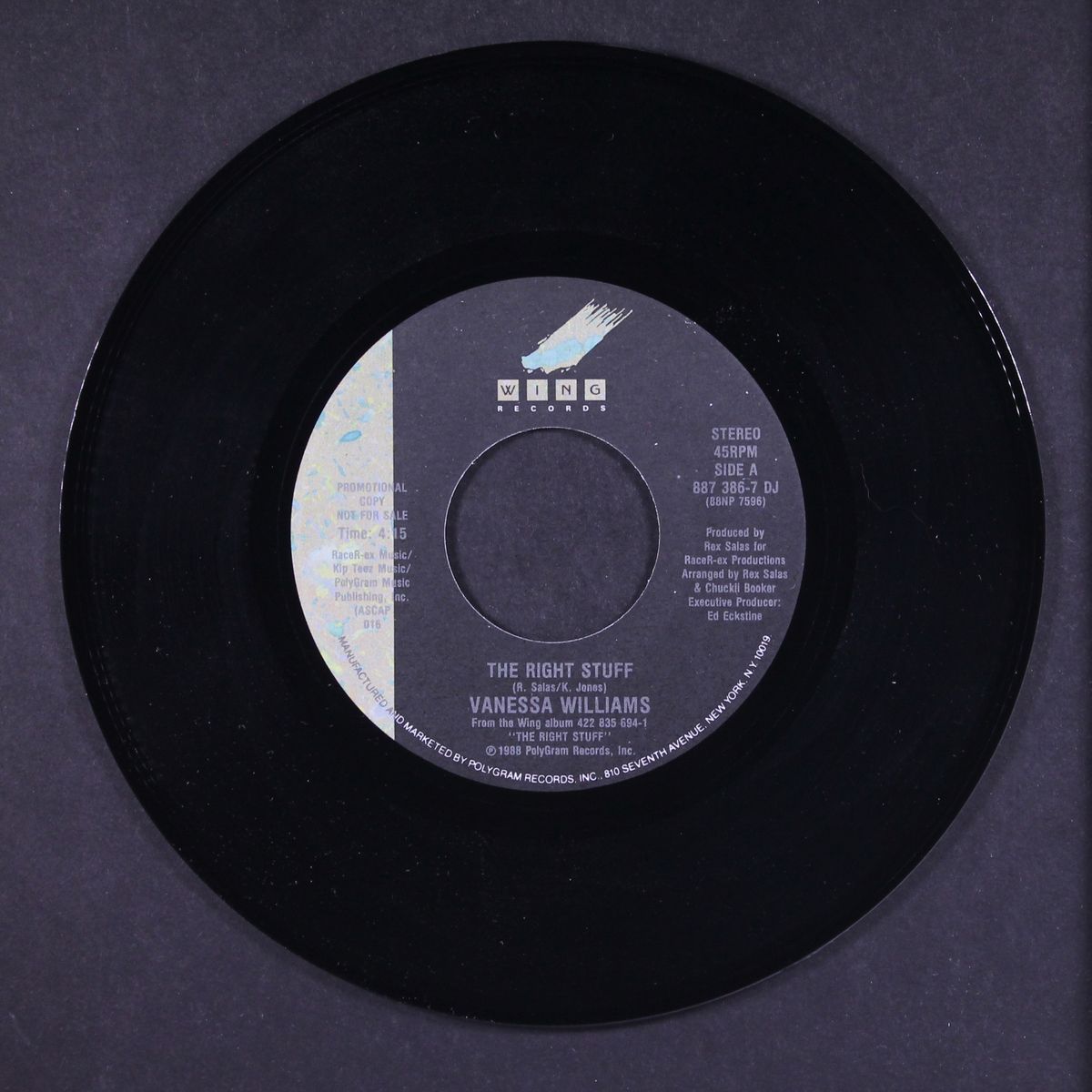 the right stuff by VANESSA WILLIAMS