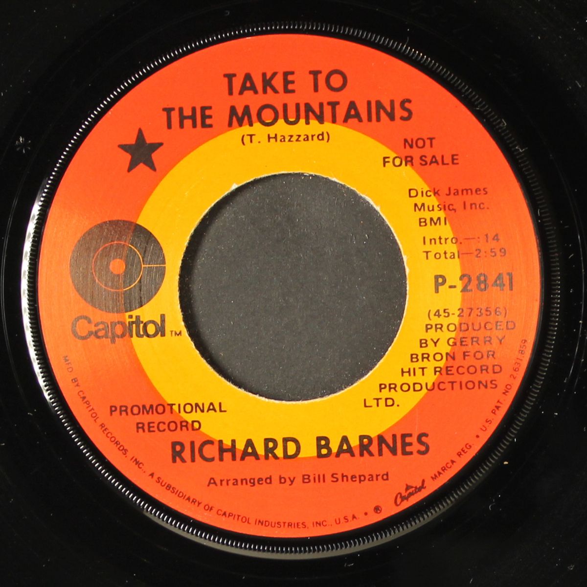 take to the mountains / high flying electric bird by RICHARD BARNES