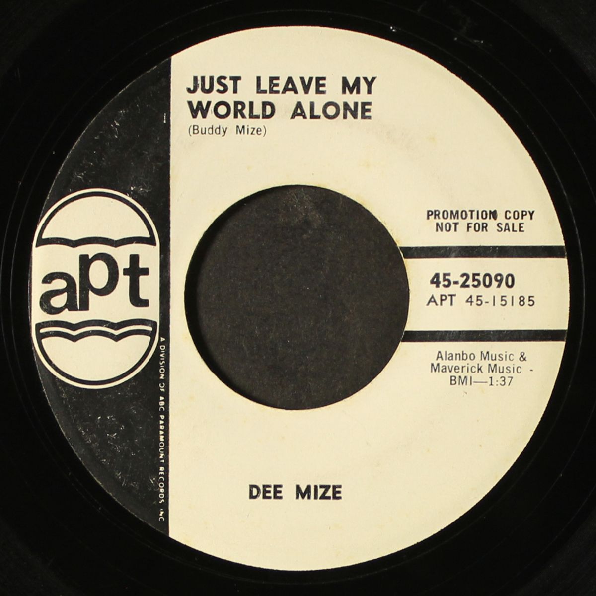the hiding man by DEE MIZE