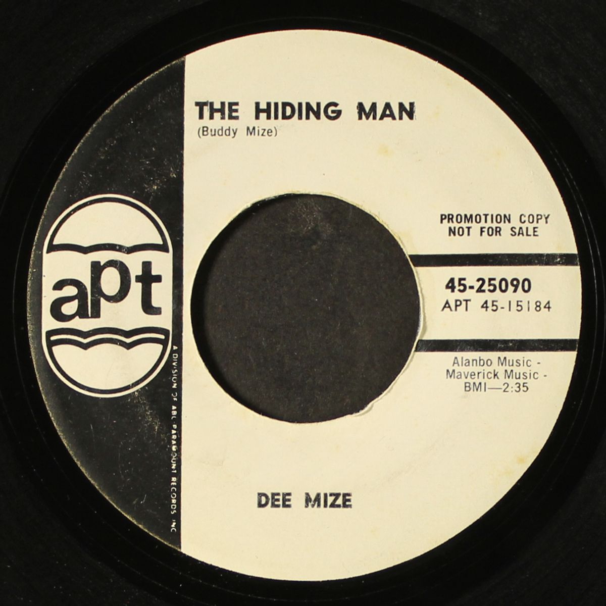 the hiding man by DEE MIZE