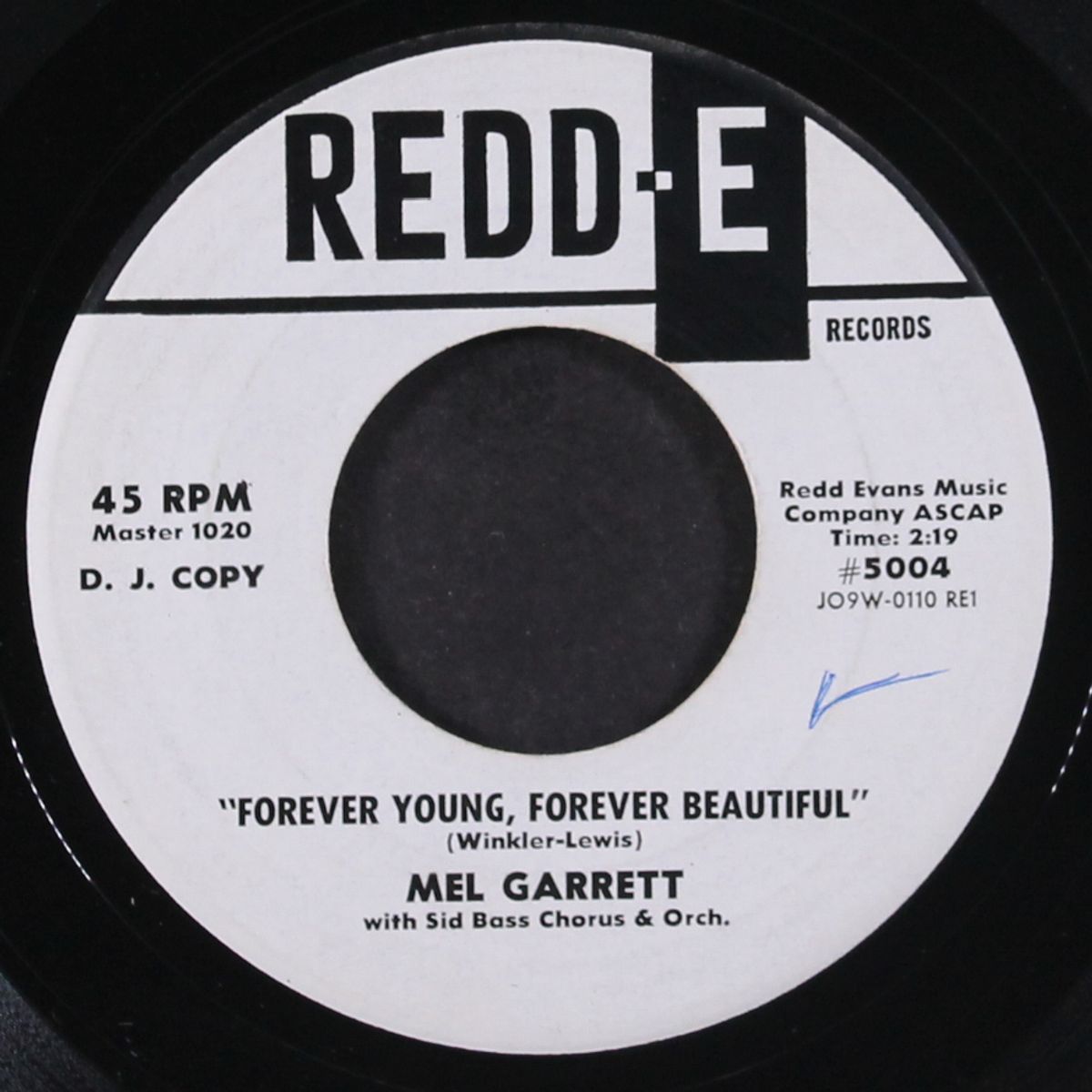 cookie cookie / forever young, forever beautiful by MEL GARRETT