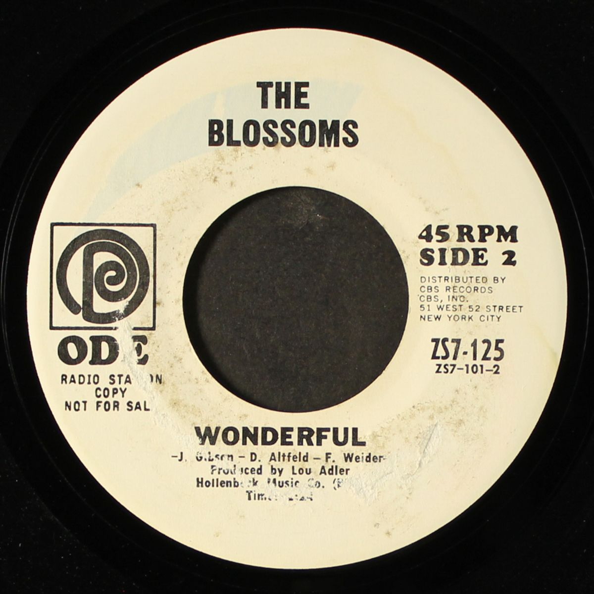 shockwave / cherish what is dear to you by BLOSSOMS