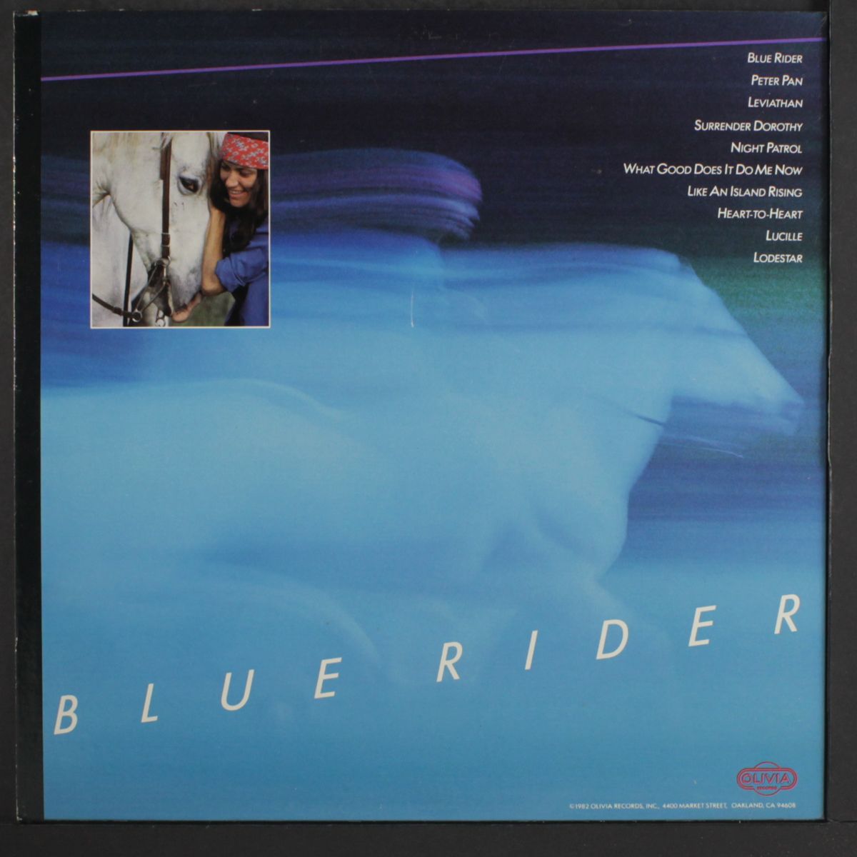 blue rider by CRIS WILLIAMSON