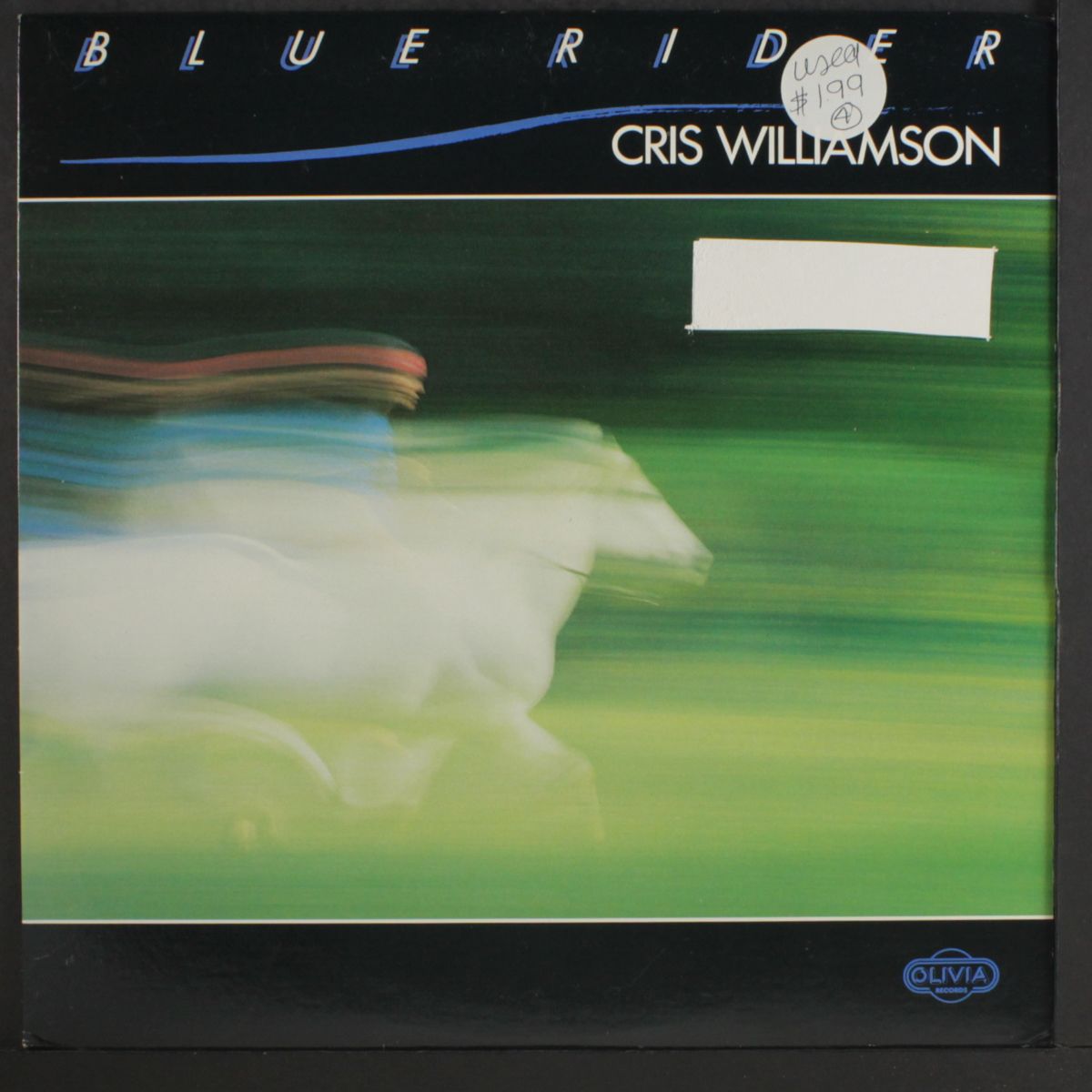 blue rider by CRIS WILLIAMSON