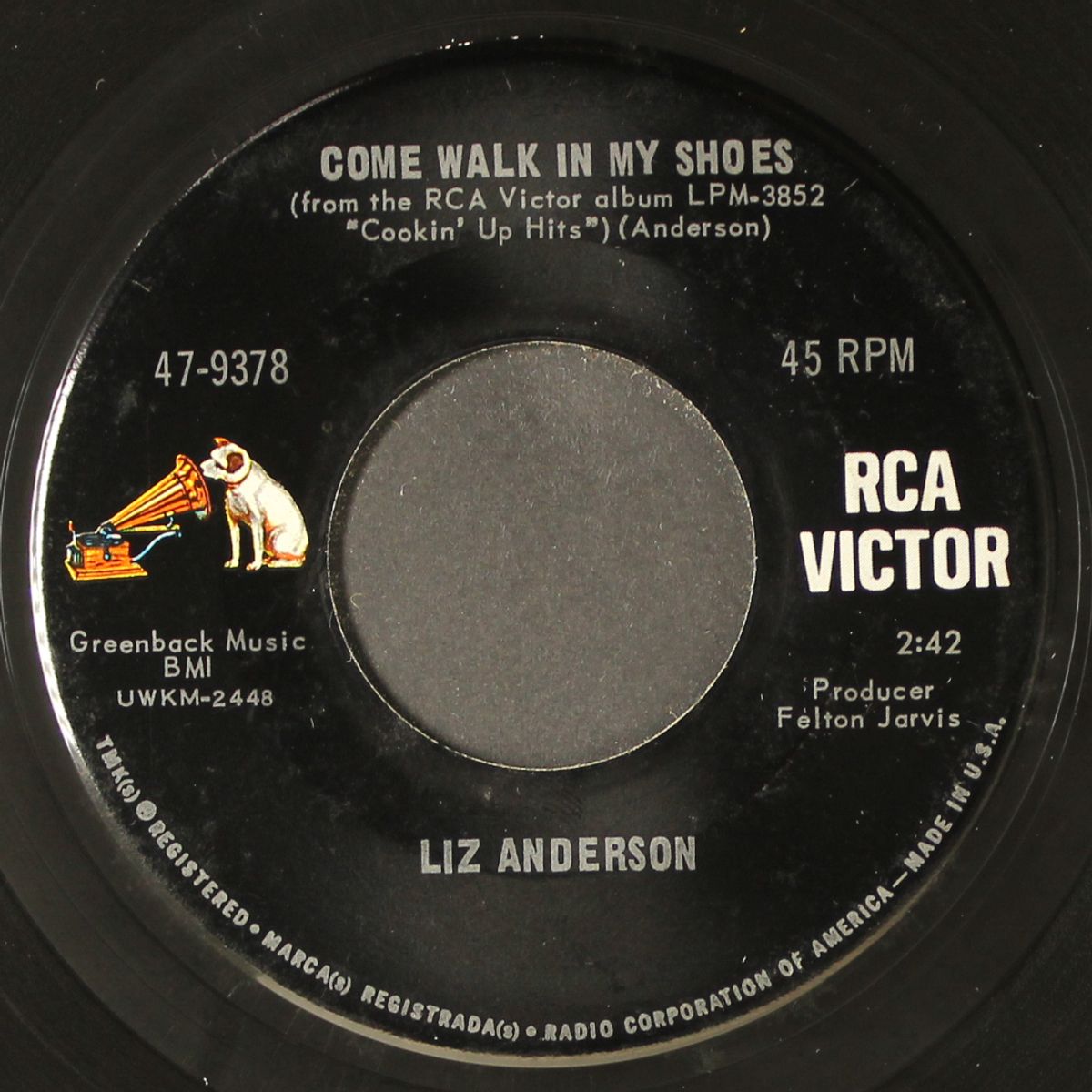 come walk in my shoes by LIZ ANDERSON
