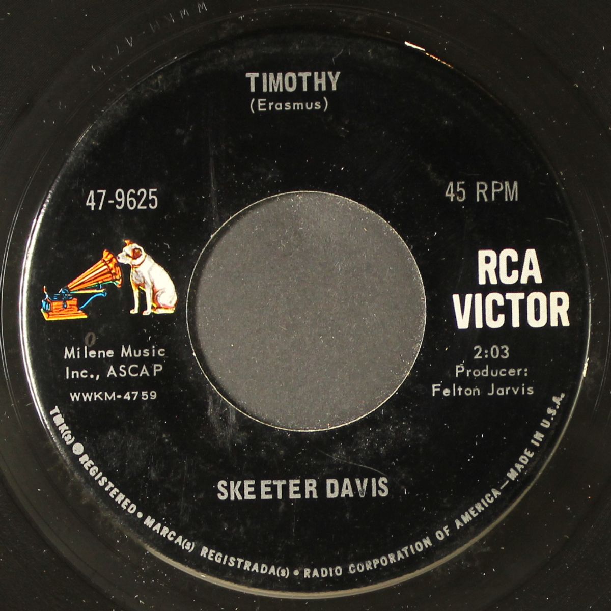 timothy by SKEETER DAVIS
