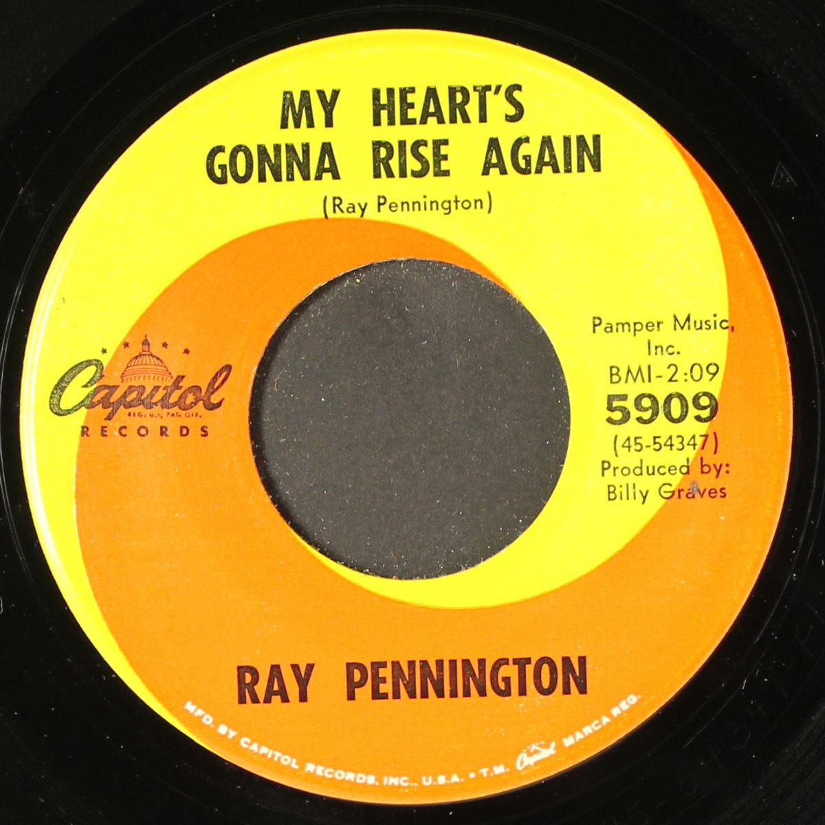 my heart's gonna rise again by RAY PENNINGTON