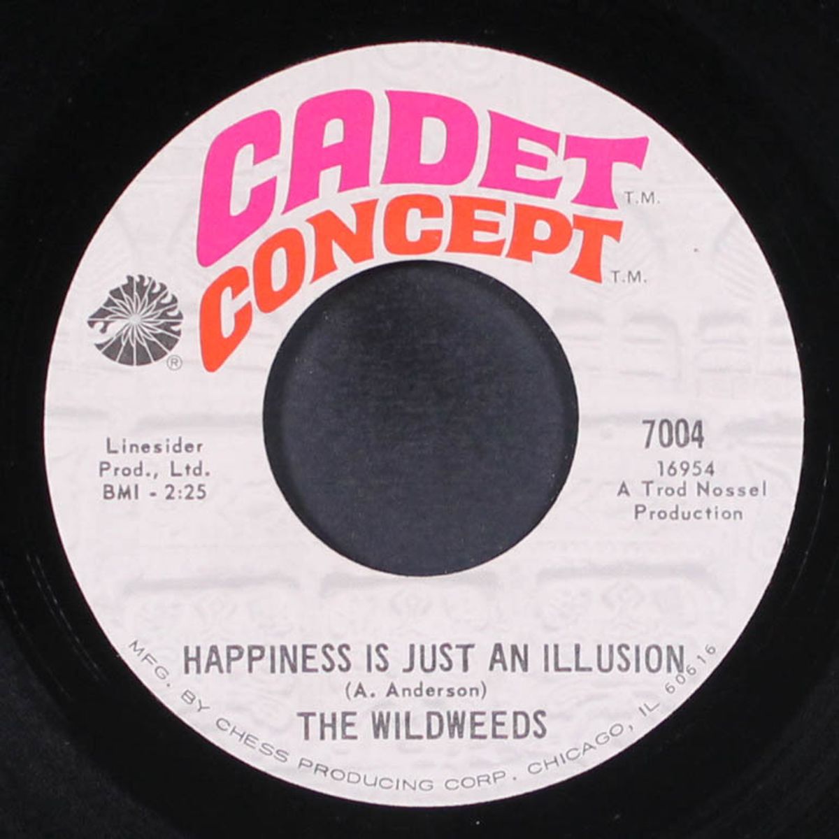 i'm dreaming / happiness is just an illusion by WILDWEEDS