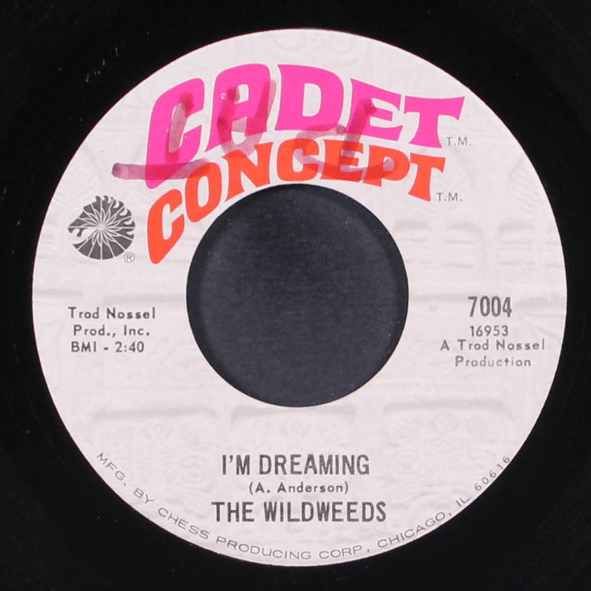 i'm dreaming / happiness is just an illusion by WILDWEEDS