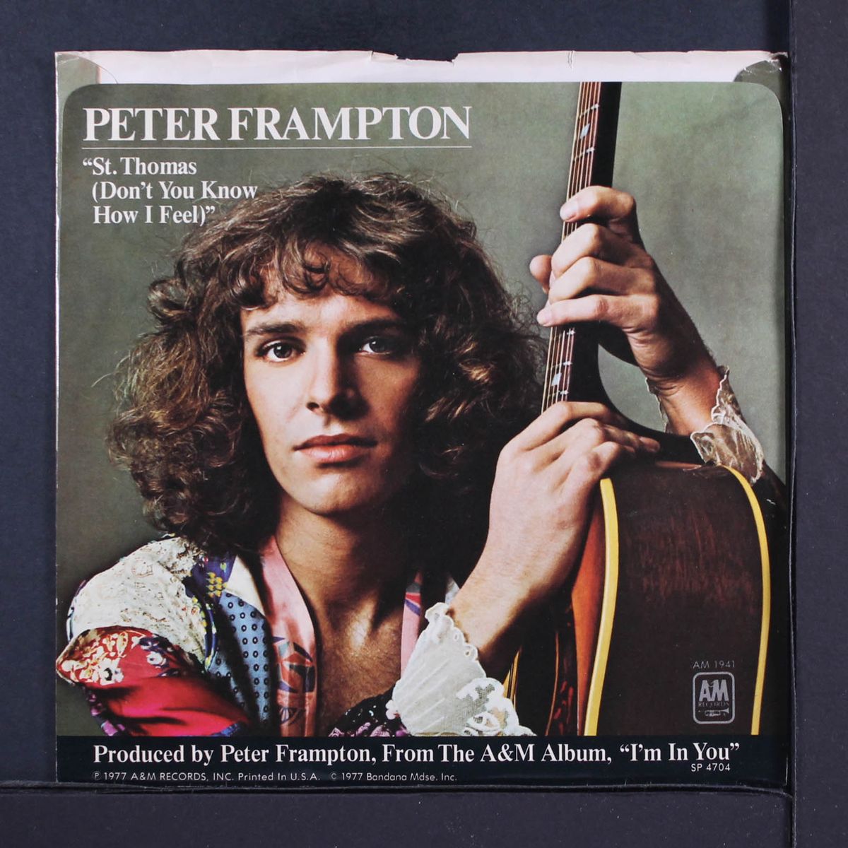 i'm in you / st. thomas by PETER FRAMPTON