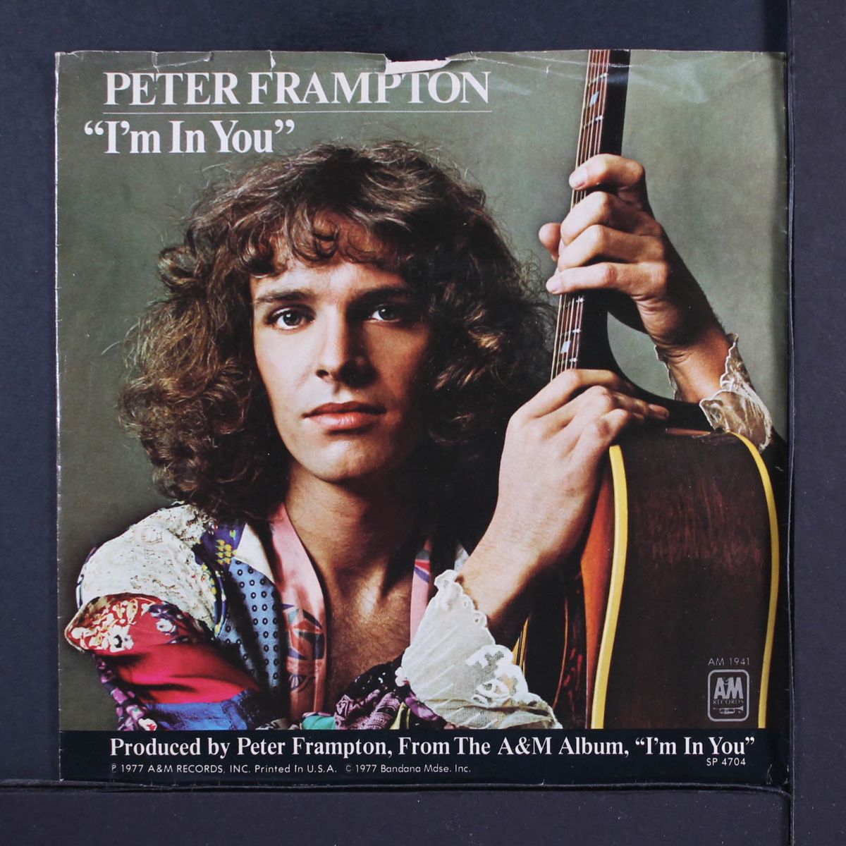 i'm in you / st. thomas by PETER FRAMPTON