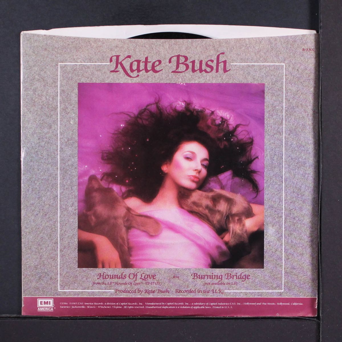 hounds of love / burning bridge by KATE BUSH