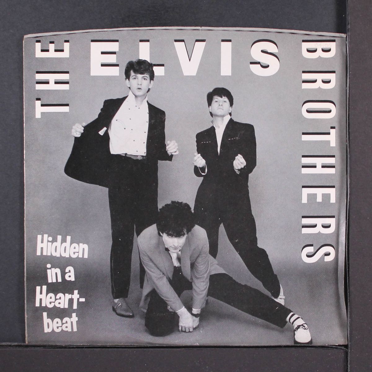 hidden in a heartbeat by ELVIS BROTHERS