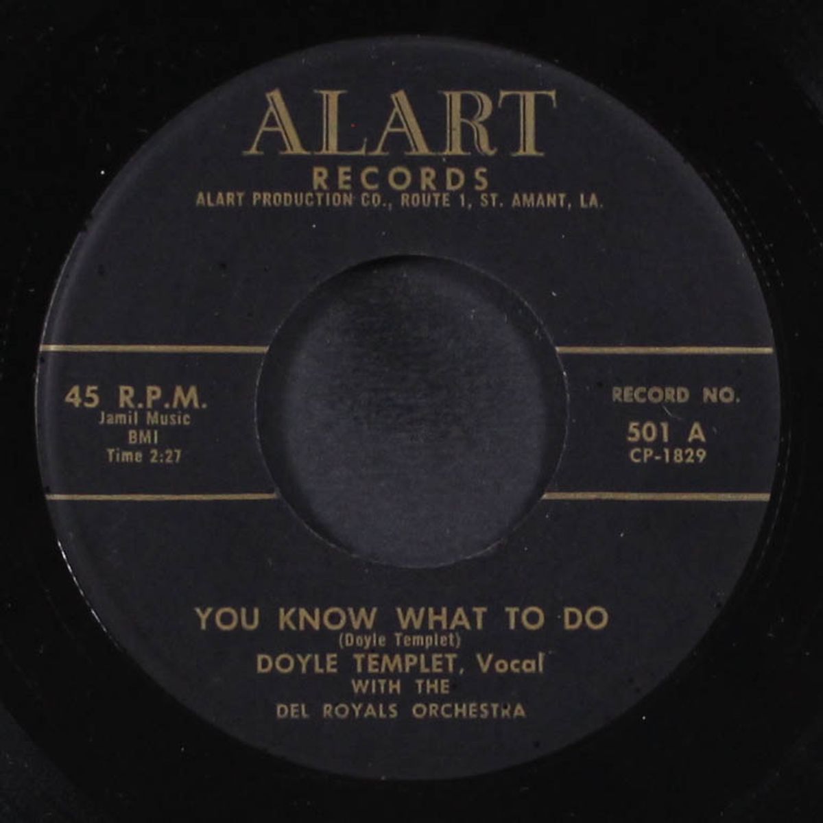 you know what i do / waiting all alone by DOYLE TEMPLET