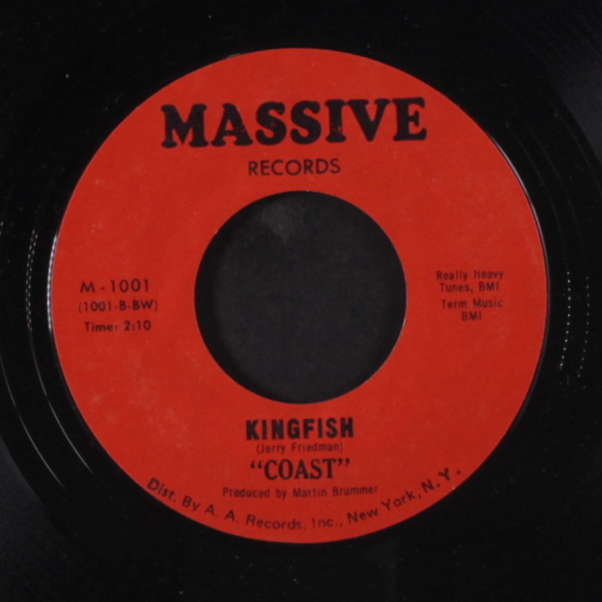 why / kingfish by COAST