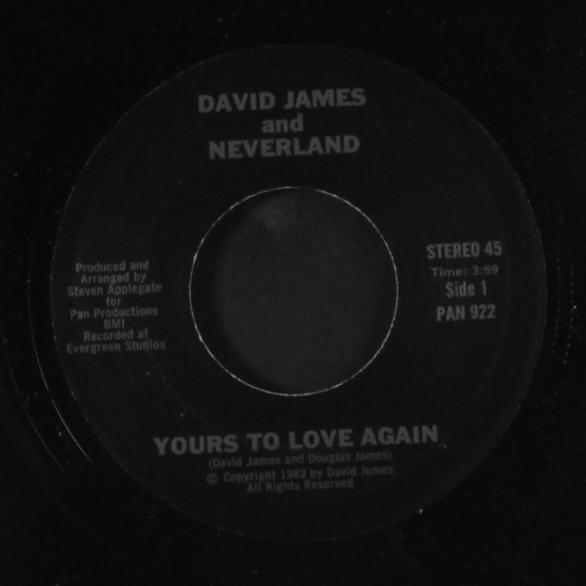 love is in my eyes / yours to love again by DAVID JAMES & NEVERLAND