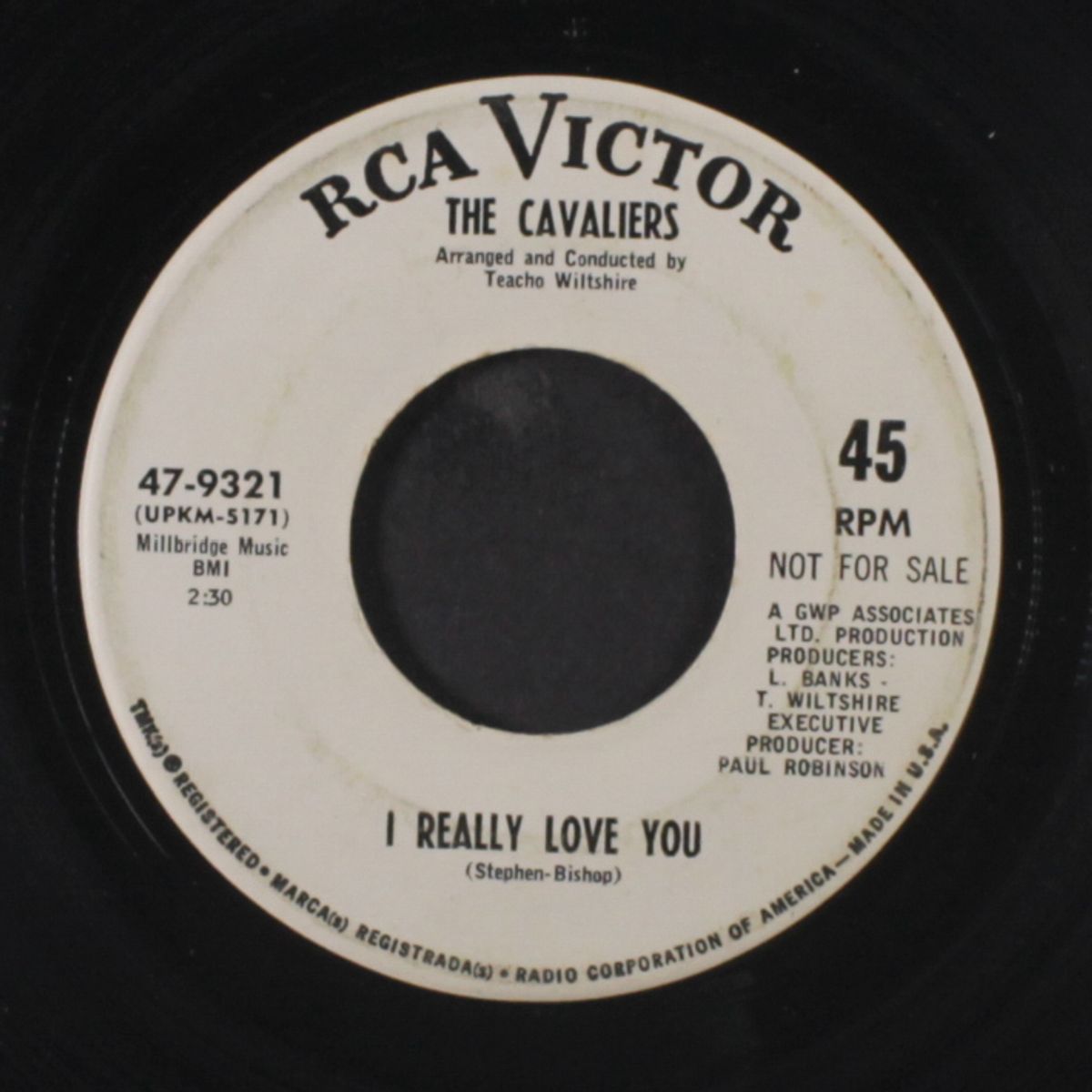 i've gotta find her / i really love you by CAVALIERS