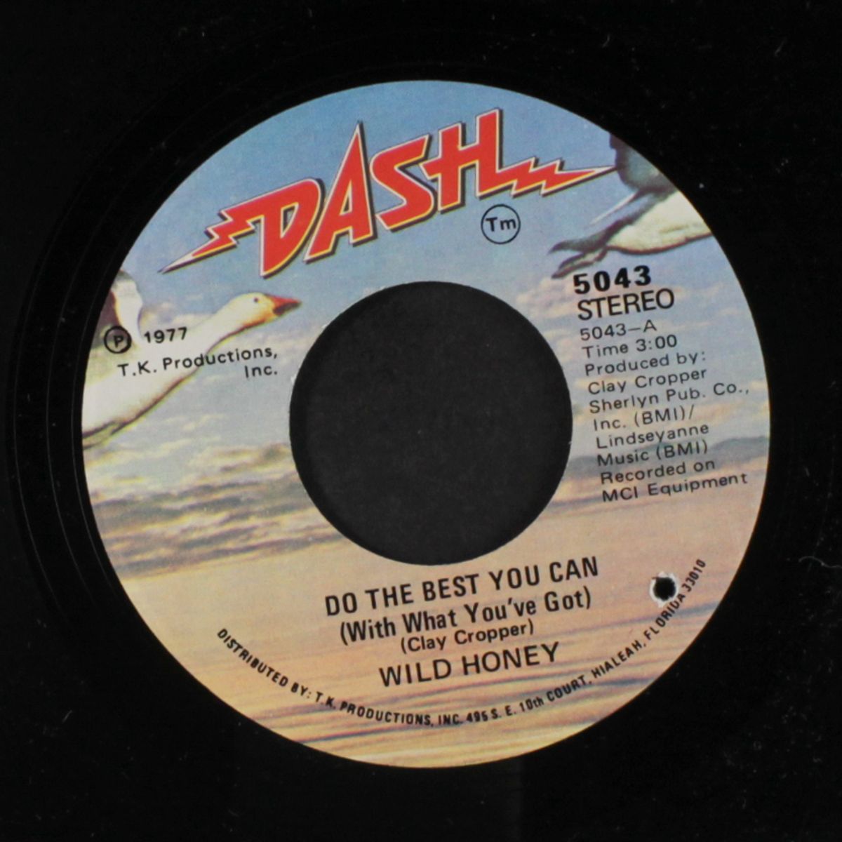 do the best you can (with what you've got) by WILD HONEY