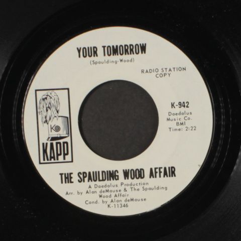 SPAULDING WOOD AFFAIR