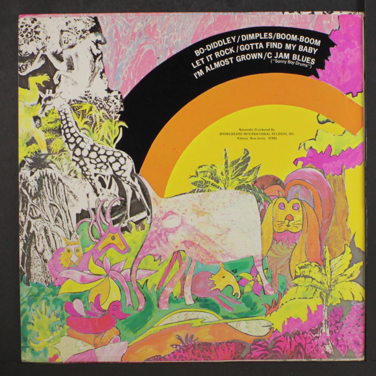 in the beginning by ANIMALS