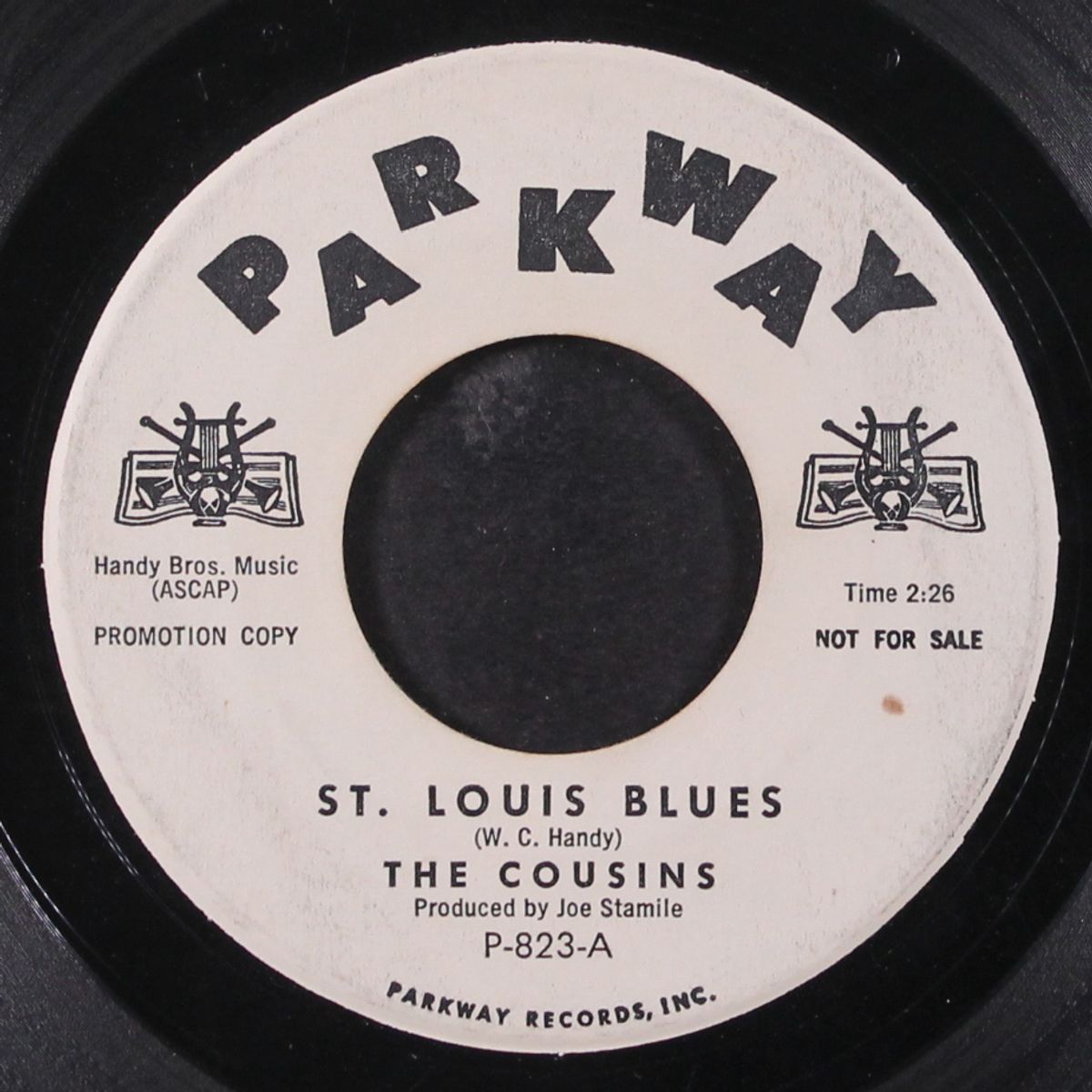 st. louis blues by COUSINS