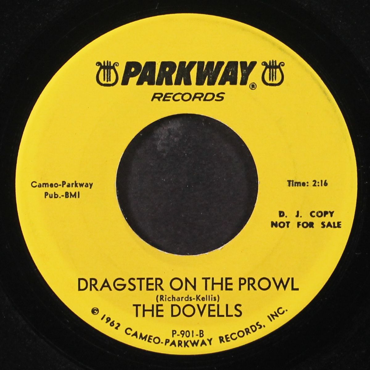 dragster on the prowl by DOVELLS