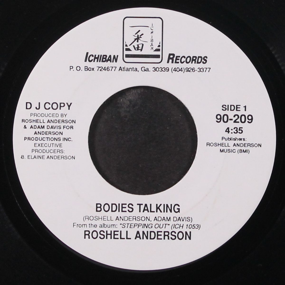 bodies talking by ROSHELL ANDERSON